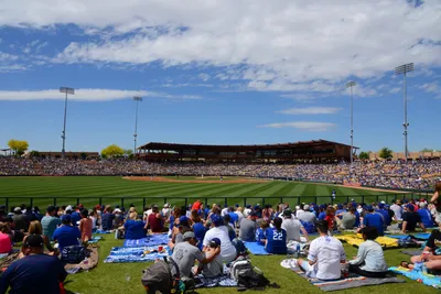 DSC_1523 (Large).JPG